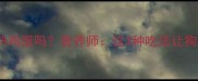 哈士奇能吃熟鸡蛋吗营养师这3种吃法让狗狗更健康