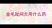 金毛趾间炎用什么药