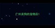 广州卖狗的宠物店