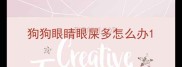 狗狗眼睛眼屎多怎么办