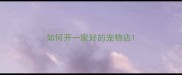 如何开一家好的宠物店