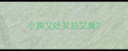 小狗又吐又拉又臭