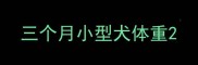 三个月小型犬体重
