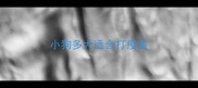 小狗多大适合打疫苗