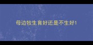 母边牧生育好还是不生好
