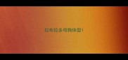 拉布拉多母狗体型