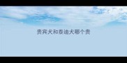 贵宾犬和泰迪犬哪个贵