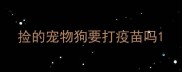 捡的宠物狗要打疫苗吗