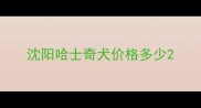沈阳哈士奇犬价格多少