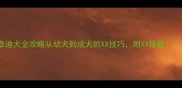 泰迪犬全攻略从幼犬到成犬的XX技巧附XX秘籍