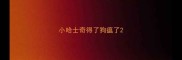 小哈士奇得了狗瘟了