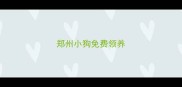 郑州小狗免费领养