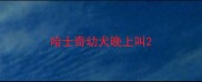 哈士奇幼犬晚上叫