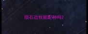 陨石边牧能配种吗
