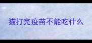猫打完疫苗不能吃什么