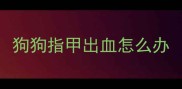 狗狗指甲出血怎么办