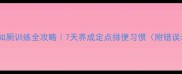 幼犬如厕训练全攻略7天养成定点排便习惯附错误示范