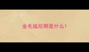金毛尴尬期是什么