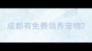成都有免费领养宠物