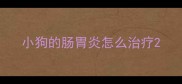 小狗的肠胃炎怎么治疗