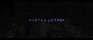 幼犬几个月可以剪成两顿