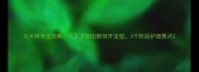 马犬换牙全攻略从乳牙萌出到恒牙定型3个阶段护理要点