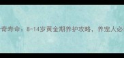哈士奇寿命8-14岁黄金期养护攻略养宠人必看