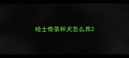 哈士奇茶杯犬怎么养