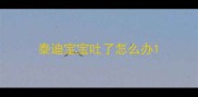 泰迪宝宝吐了怎么办