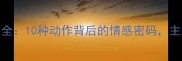 猫咪行为全10种动作背后的情感密码主人必看