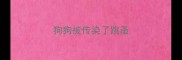 狗狗被传染了跳蚤