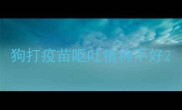 狗打疫苗呕吐精神不好