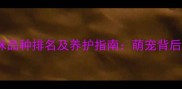 10大最可爱的猫咪品种排名及养护指南萌宠背后的科学喂养方法