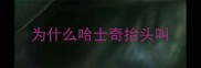 为什么哈士奇抬头叫