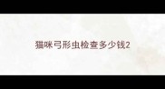 猫咪弓形虫检查多少钱