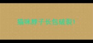 猫咪脖子长包破裂