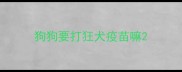 狗狗要打狂犬疫苗嘛