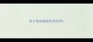 哈士奇幼崽能吃西瓜吗