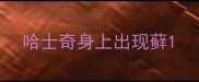 哈士奇身上出现藓