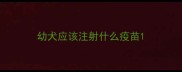 幼犬应该注射什么疫苗
