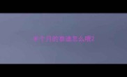 半个月的泰迪怎么喂