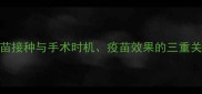 绝育术前必看疫苗接种与手术时机疫苗效果的三重关联科学养宠指南