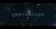 边牧两个月喂什么好处