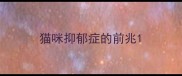 猫咪抑郁症的前兆