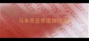 马来西亚带宠物回国
