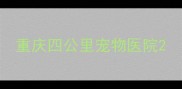 重庆四公里宠物医院