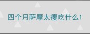 四个月萨摩太瘦吃什么
