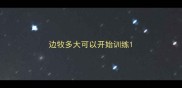 边牧多大可以开始训练
