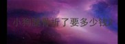 小狗腿骨折了要多少钱