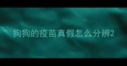 狗狗的疫苗真假怎么分辨